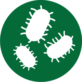 Ikonka w kółku przedstawiająca pożyteczne bakterie. Są one jednym z głównych składników preparatu BIOLATRIN® RV - pomagają usunąć brzydkie zapachy z toalety w kamperze.